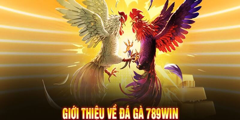 789WIN nổi bật với sảnh đá gà online chất lượng